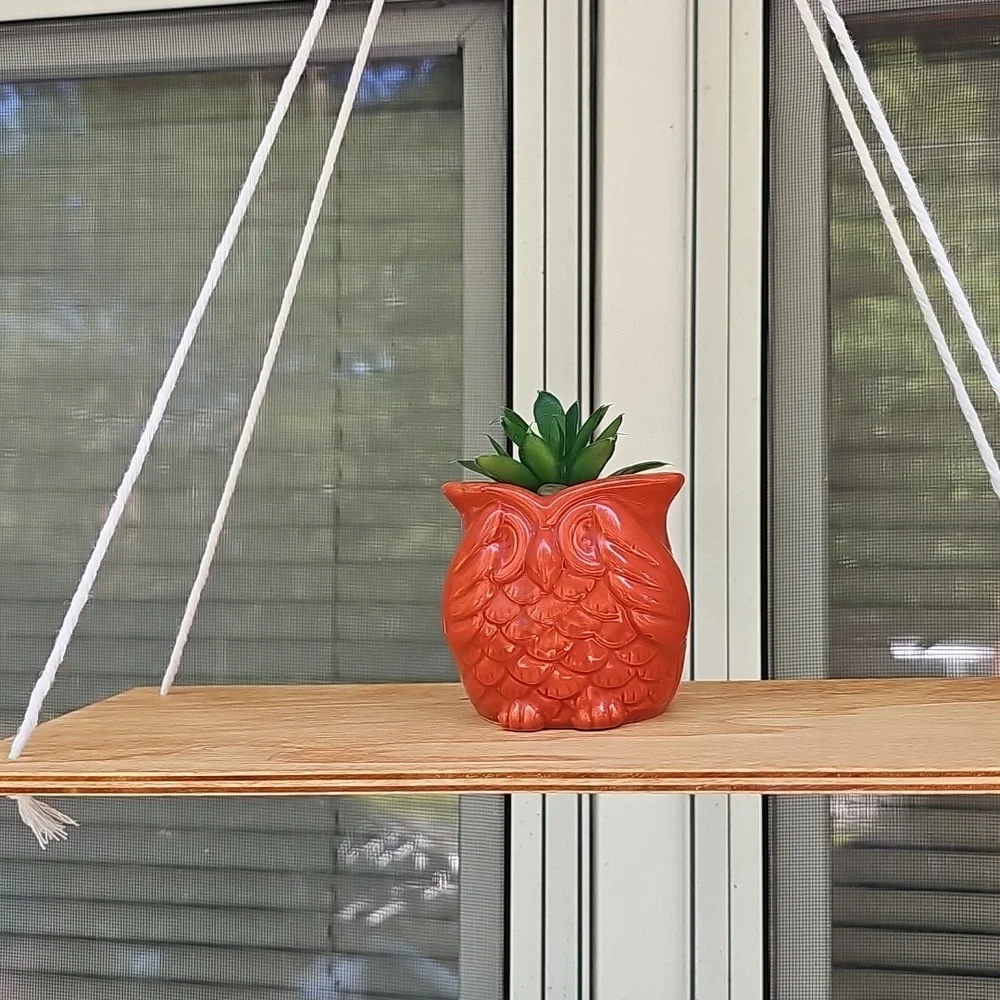 Hanging Wooden Shelf with Ceramin Owl Planter